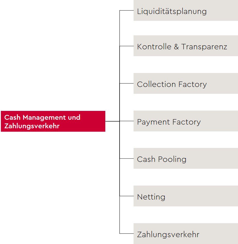 schaubild-cash-management-und-zahlungsverkehr