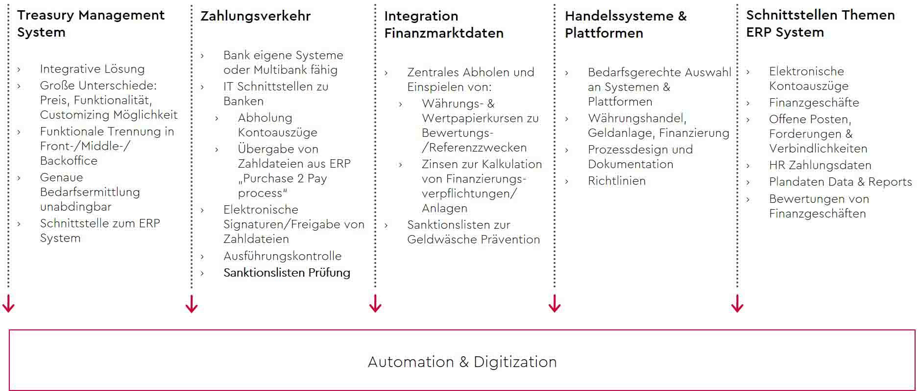 schaubild-treasury-advisory-it-digitalisierung